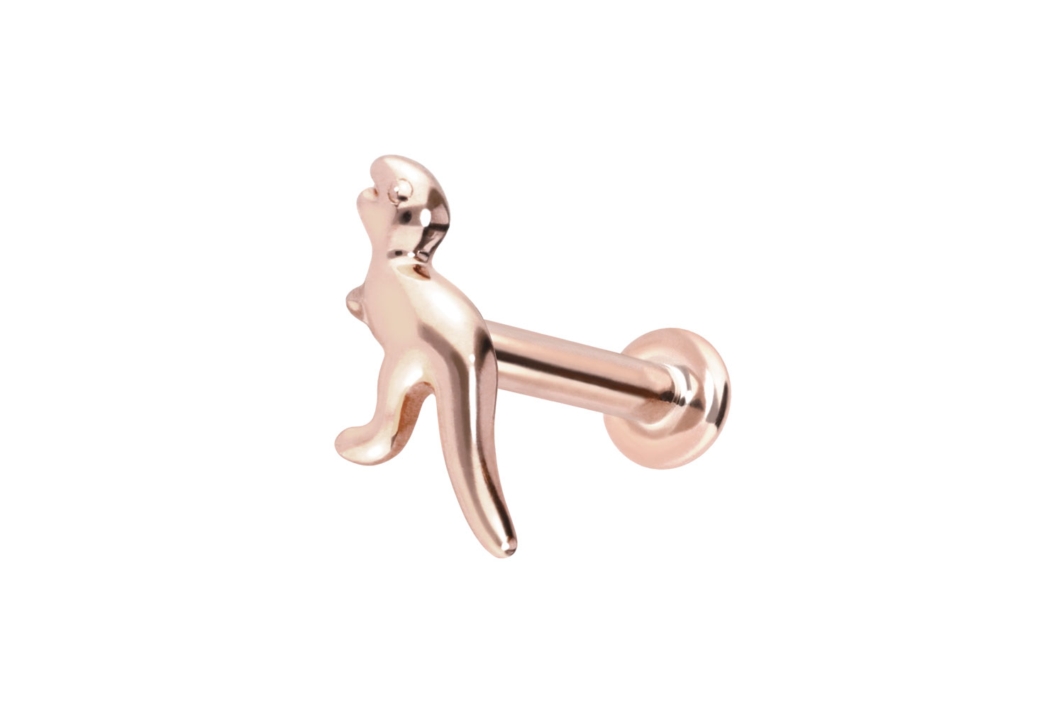 14 Karat Gold Labret Piercing mit Push Fit DINOSAURIER